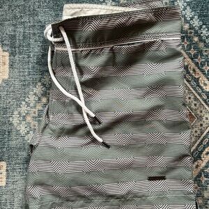 Parke and Ronen swim shorts